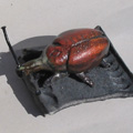 scarabée Raku